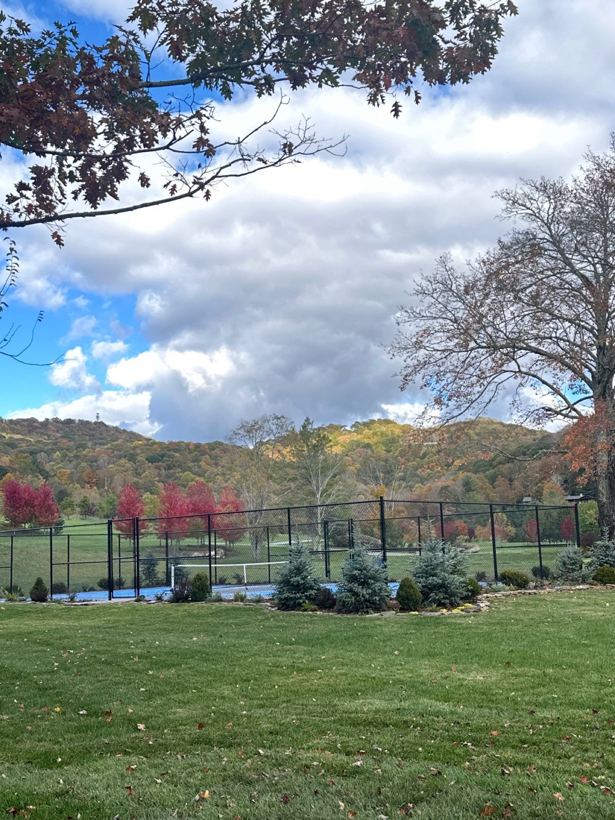 Chain Link Fence in Western NC
