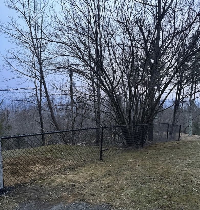 Chain Link Fence by Mountain Fence and Deck