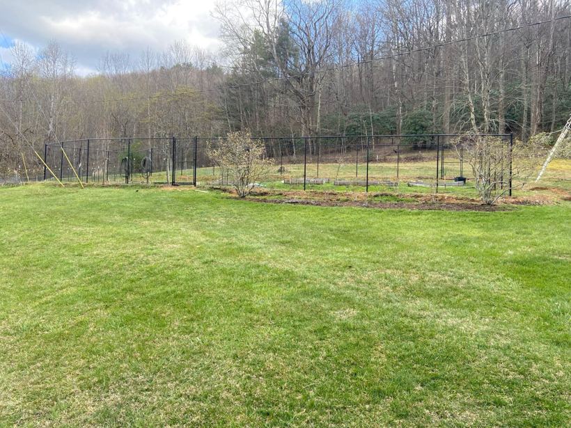 Deer Fence in Western NC